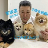 アンズ ライフ クリーン
