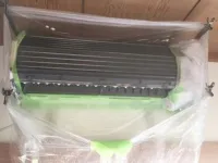 リトルウィング