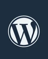 レイスハウスクリーニング