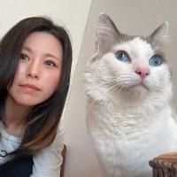 シャムシティ
