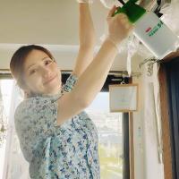 モアナクリーン おうちにプロ事業部