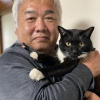 ハウスクリーニングネコの手