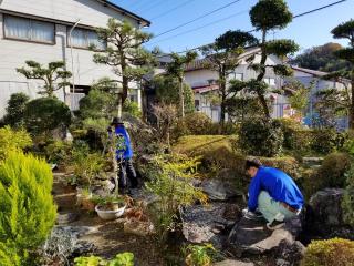 高知県にて庭木剪定、草刈り全般手入れ