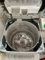 縦型　ドラム式洗濯機分解洗浄いたします！