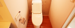 トイレのクリーニング　トイレ洗浄
