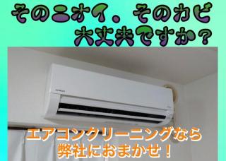 イヤなニオイ、黒いカビにバイバイ！　本体、分解したパーツまでスッキリ！