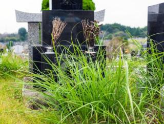 遠方にお住まいの方、ご高齢の方、ご多忙の方へ。想いの伝わるお墓参り代行