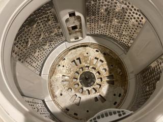 ドラム式も対応可能！洗濯機の見えない汚れ落とします！