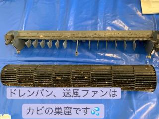 送風ファン脱着可≪追加オプション≫☆天然洗剤使用☆お掃除機能付きお任せ下さい！