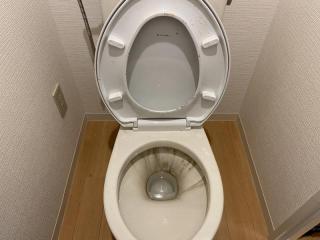 尿石や黒カビを除去！◎洗浄便座ももちろん外して清掃！タンクレス便座取外し不可