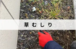 草むしりはお任せ下さい！10㎡以上もご相談下さい！エリア外も対応可能な場合有り！