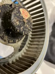 【キッチン＋換気扇】徹底洗浄！セットがお得◎