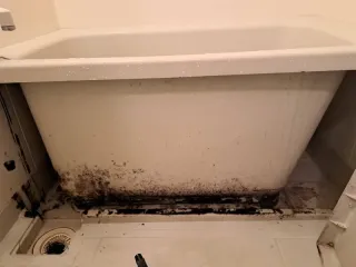 （重労働な家事）浴室のカビ取り、お掃除はお任せください。