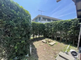 お庭をスッキリ剪定伐採はいかがでしょう