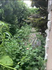 お庭のお困り事はお任せ下さい！