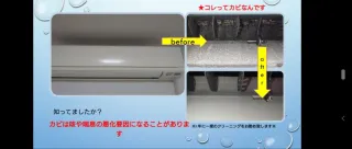 ◆3月出店◆オープニングセール※オプション各種半額中