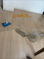 ワックス無料サービス中‼️空室清掃‼️