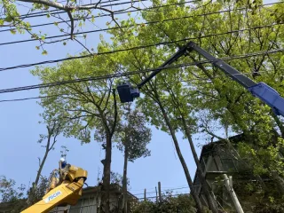 お庭のお困りごと解決ならトラスト