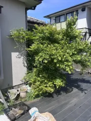 お庭の草刈り、剪定、伐採おまかせ下さい！