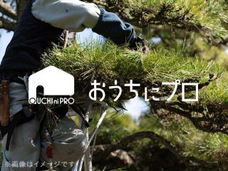 植木屋さんよりお手頃価格なサービスをご提供致します!
