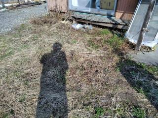 Before image