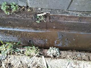 After image