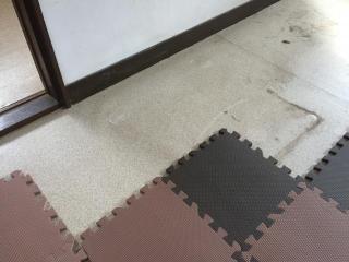 Before image