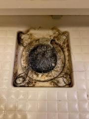 Before image
