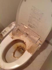 Before image