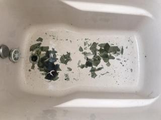 Before image