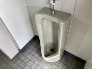 Before image