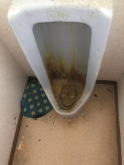 Before image