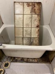 Before image