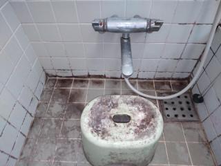Before image