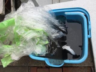 After image