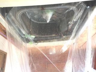 Before image