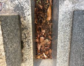 Before image