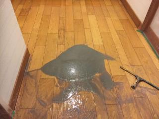 Before image