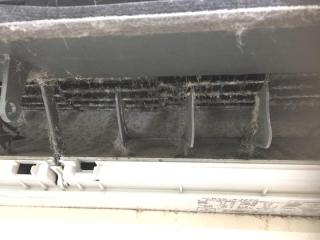Before image