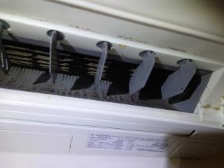 Before image