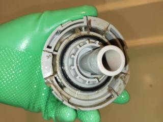 Before image
