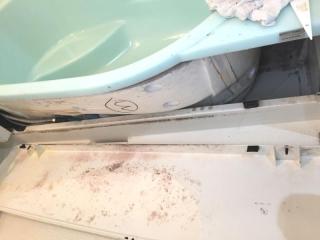 Before image