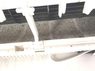 Before image