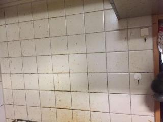 Before image