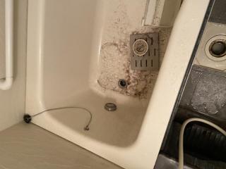 Before image