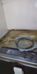 Before image