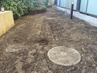 Before image