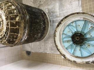 Before image