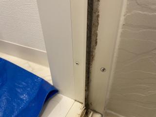 Before image