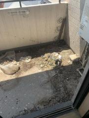 Before image